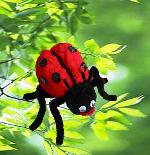 PAPER PLATE, PAPER CUP, PAPER BOWL,HONEYCOMB PICK, PAPER NAPKIN, HONEYCOMB STRAW, DRINKING STRAW, LANTERN, PARTY DECORATION, PARTY FAVOUR, SEASONAL ITEM, GIFTS, CARNIVAL, FRILLED PICK, WOODEN, PICK,FOIL STRAW,PLASTIC STIRRERS, TOYS, DIY, BEAR, PARTY FUN,