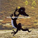 TS83023 CHENILLE SEGISAURUS CRAFT SET  