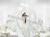 WEDDING ACCESSORY; TAI SAM PARTY FUN